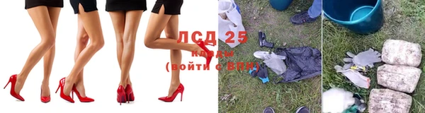 спиды Нефтекумск