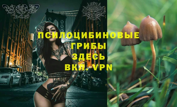 спиды Нефтекумск