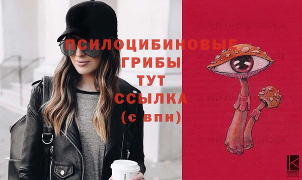 ПСИЛОЦИБИНОВЫЕ ГРИБЫ Нефтегорск