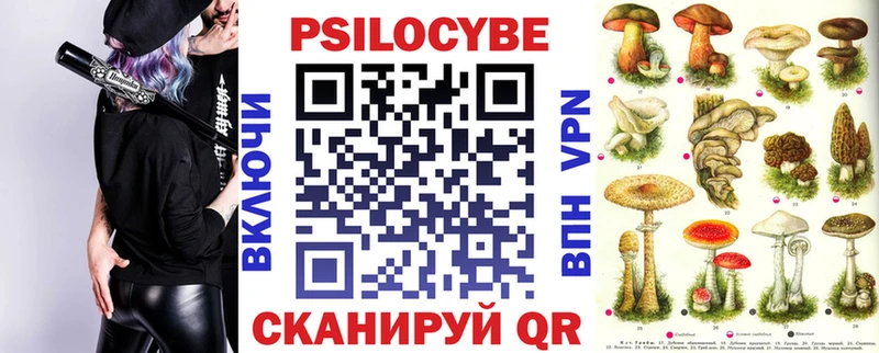 купить  цена  shop официальный сайт  Псилоцибиновые грибы Psilocybine cubensis  Динская 