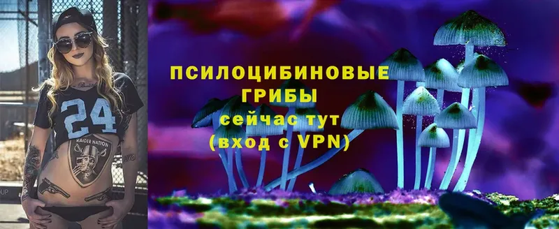 Псилоцибиновые грибы Psilocybe  omg ССЫЛКА  Динская 